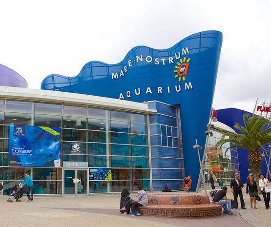 Aquarium Mare Nostrum